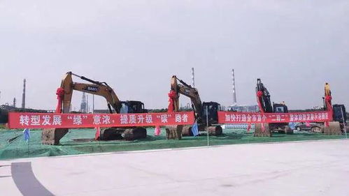 吸引企業(yè)紛紛飛回上海，金山這家園區(qū)有何奧秘——財務(wù)咨詢助力企業(yè)騰飛